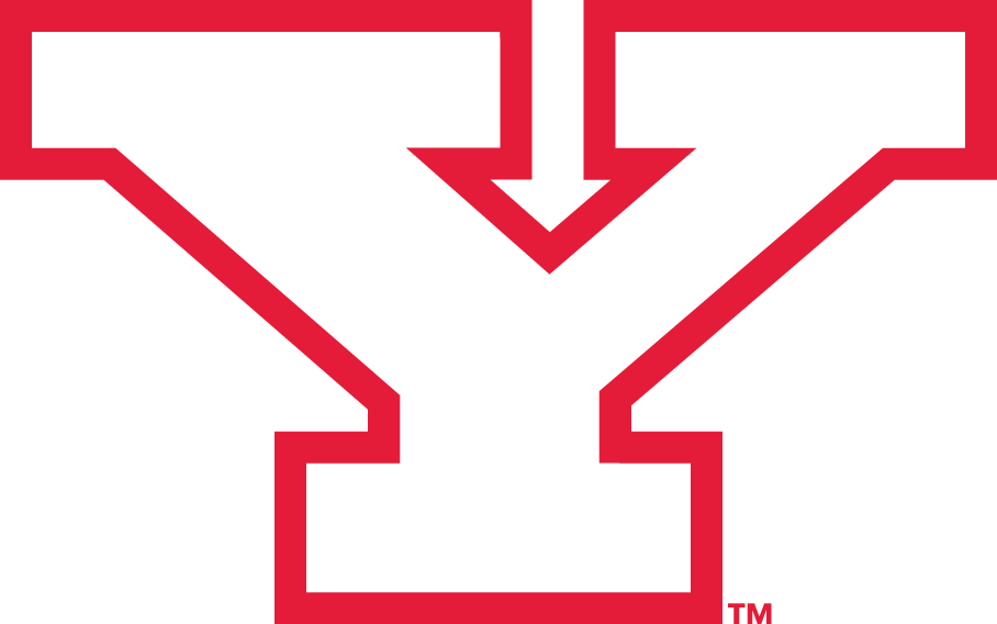 Youngstown State Penguins 1993-Pres Alternate Logo v2 iron on transfers for T-shirts